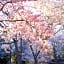 Tokyo Cherry Blooming Hotel Ueno 东京超级中心上野公园3分钟 地铁1分钟 位置绝佳超级繁华 免费wifi Dyson吹风机BOC