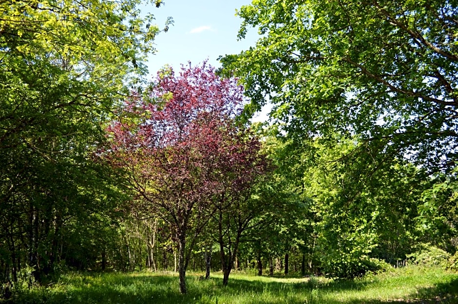 DUC MANOIR Chambres d'hôtes