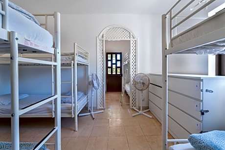 Bed in 8-Bed Mixed Dormitory Room
