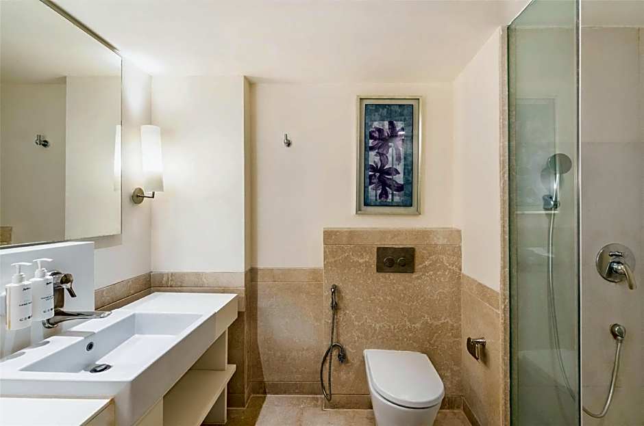 Radisson Hyderabad Hitec City