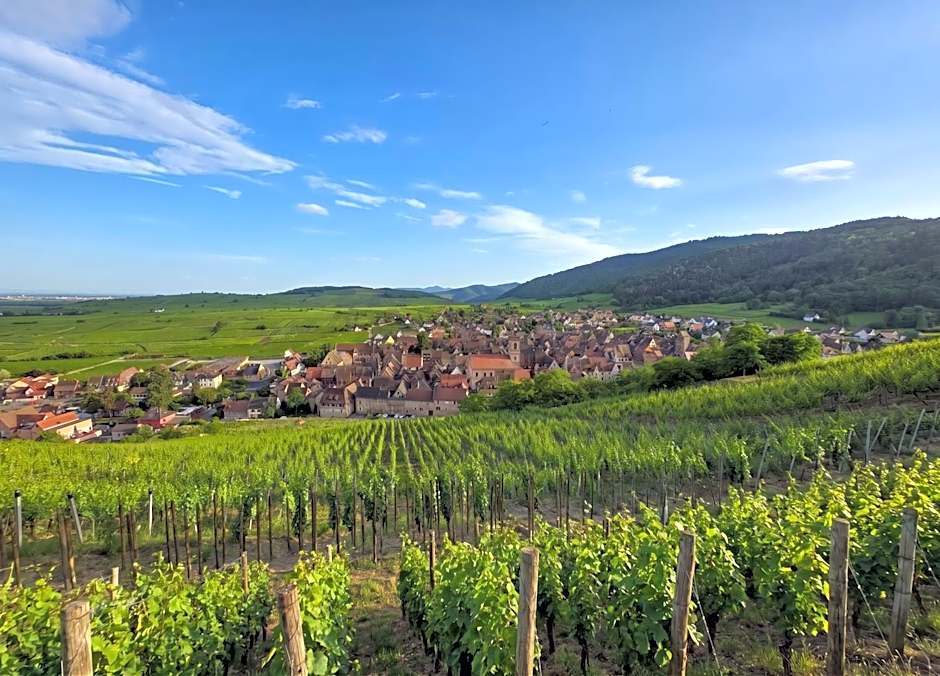 Best Western Plus Hotel & SPA Le Schoenenbourg