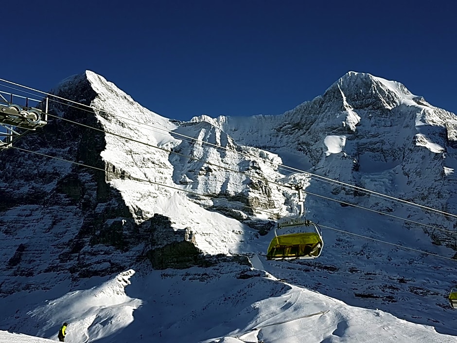 Alpenkräuter Hotel Bären