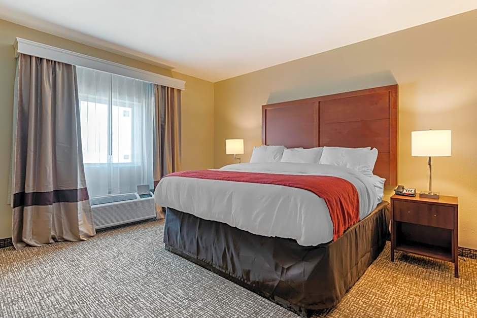 Comfort Inn & Suites Michigan City South