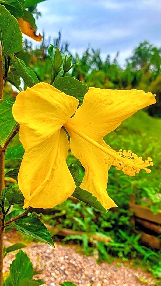 Rancho Acácia São Roque