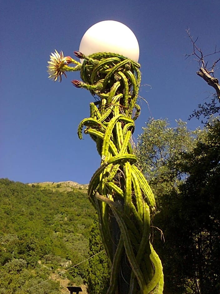 La Margherita di Teriasca