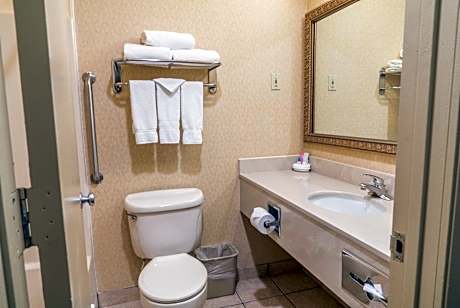 2 Queen Beds, Non-Smoking, High Speed Internet Access, Microwave And Refrigerator, Coffee Maker, Iro