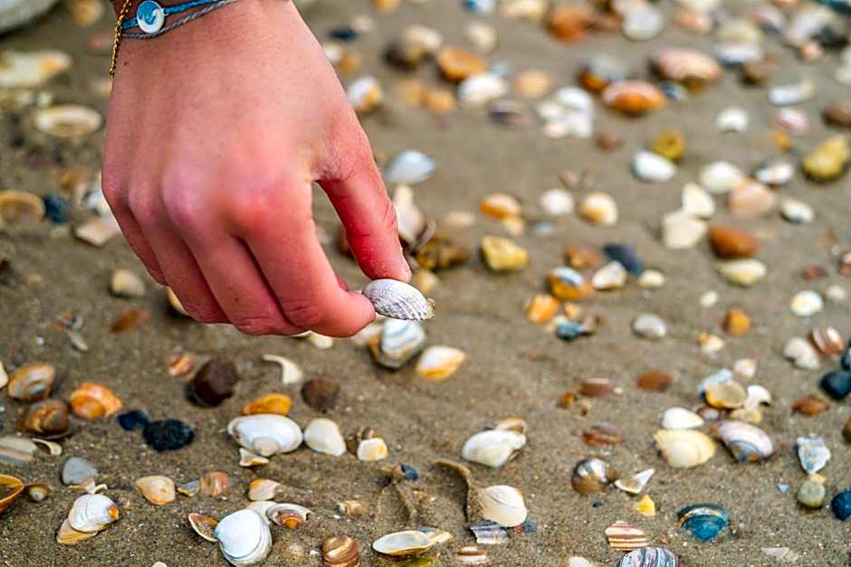 Europarcs Koningshof