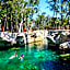 Hotel Casa Tortuga Tulum Cenotes Park Inclusive