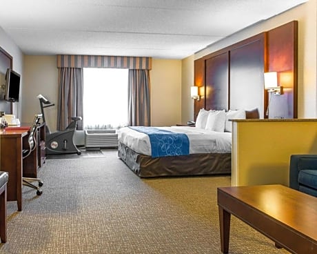 1 Bedroom King Suite