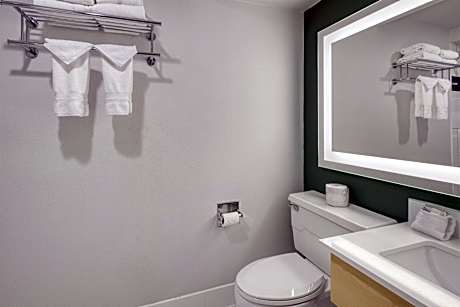 Two-Bedroom Queen Suite with Sofa Bed and Kitchen