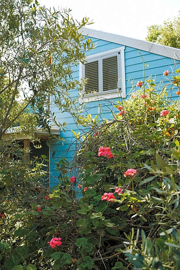Blue House In The Woods- Amirim