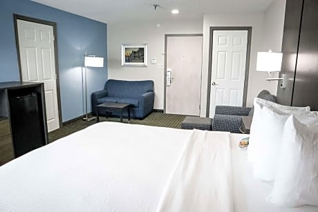 Suite-1 King Bed, Non-Smoking, Larger Room, Sofabed, Microwave And Refrigerator, Full Breakfast