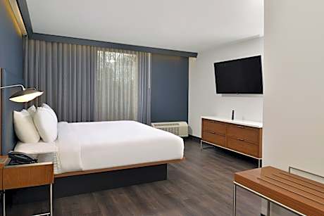 Suite, 1 King, Sofa bed