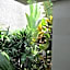 Villa Kejora 10