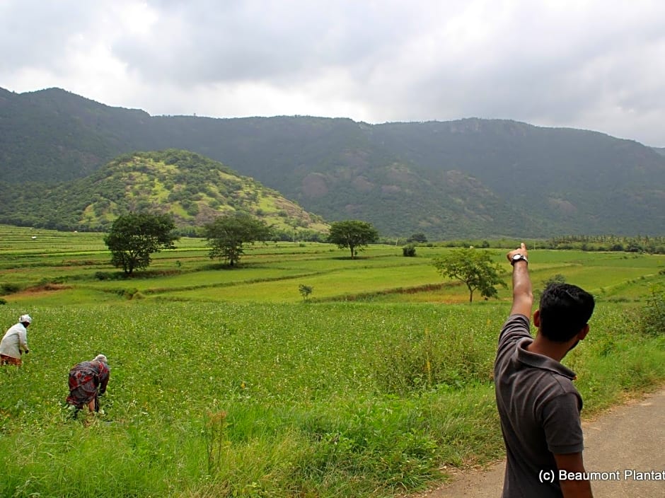 Beaumont Plantation Retreat
