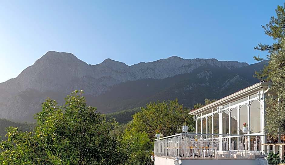 APA Mountain Lodge
