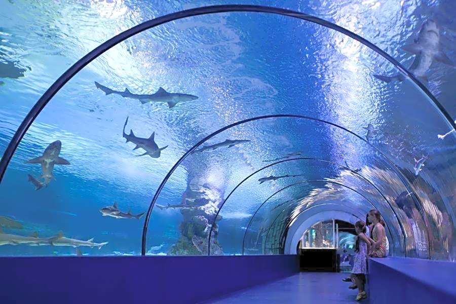 Castello Hotel & Aparts