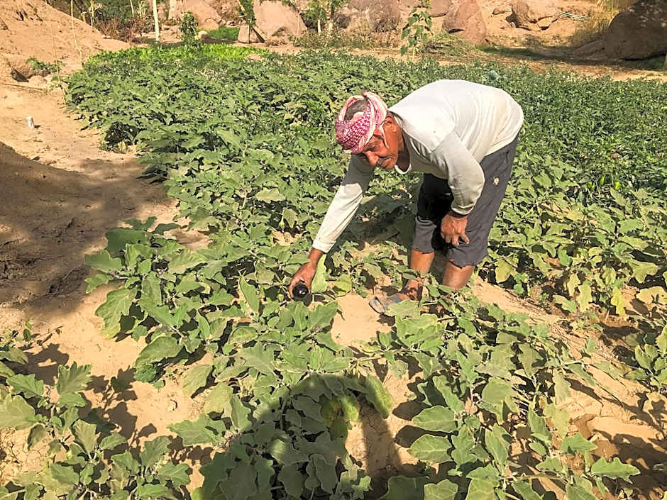 Eco Nubia