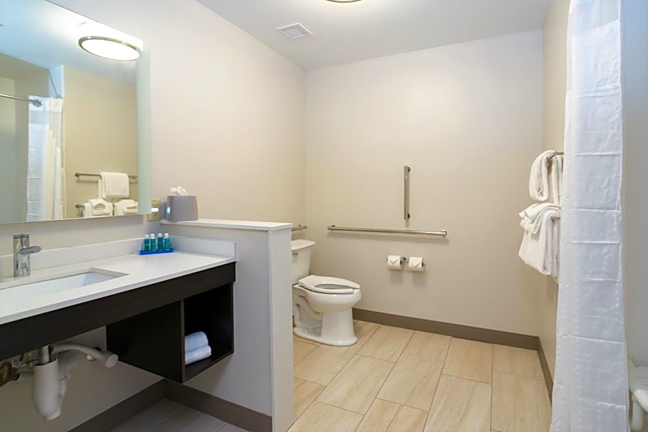 Holiday Inn Express And Suites Allen Park By IHG