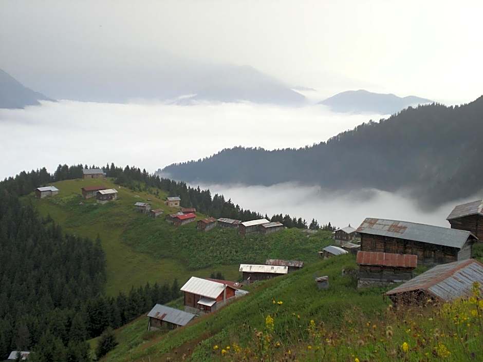Ayder Hasimoglu Hotel