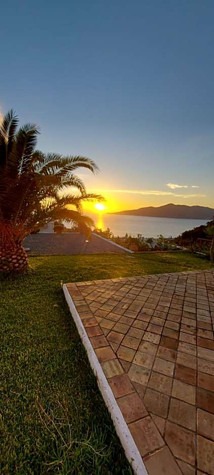 B&B Sunrise