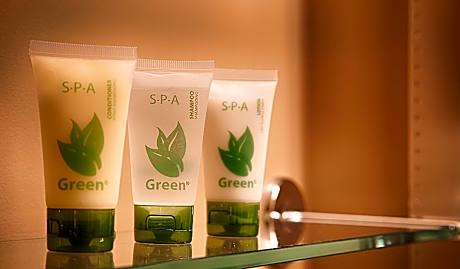 Suite-2 Queen Beds Non-Smoking One Bedroom Sofabed Microwave And Refrigerator Full Breakfast