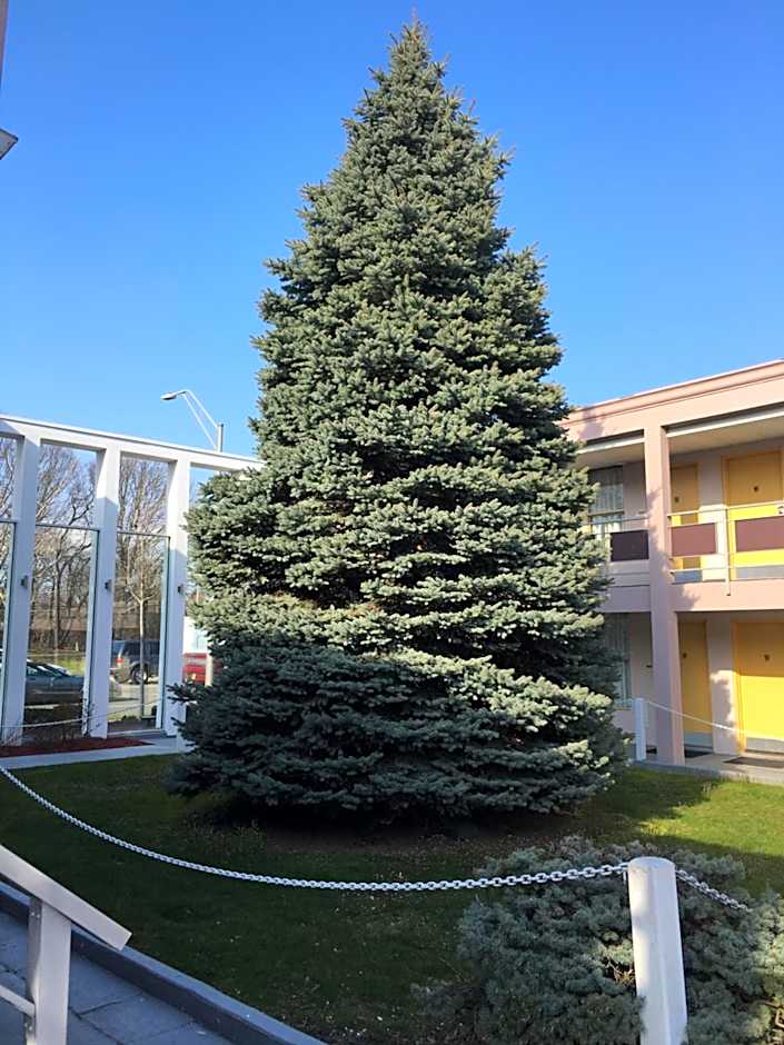 Ramada by Wyndham Rockville Centre