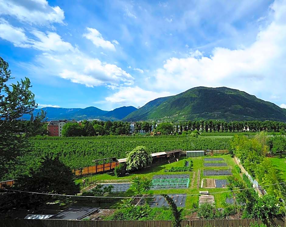 Villa Sasso