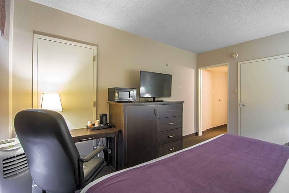 Photo 1 of 7 of 1 King Bed with Sofabed Suite