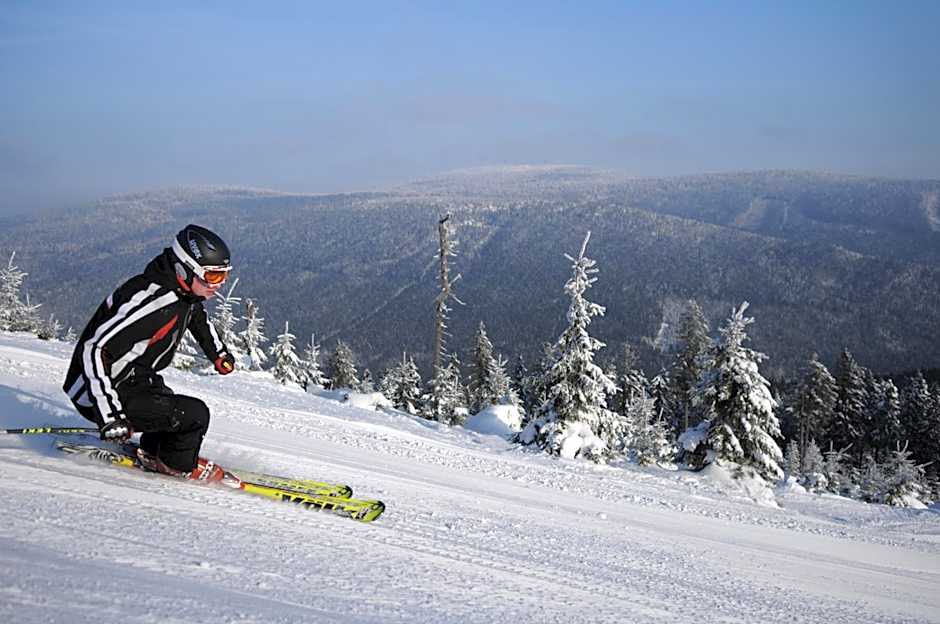 AHORN Harz Hotel Braunlage