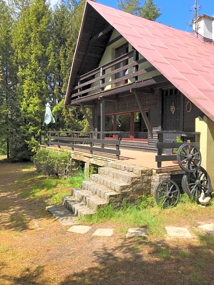 Dom letniskowy POŚRÓD KASZUBSKIEGO LASU