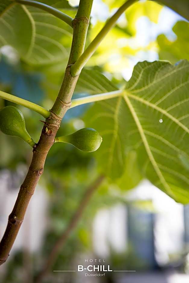 B-Chill Düsseldorf