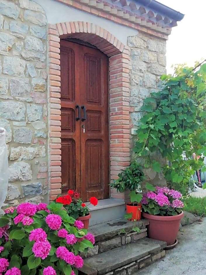 Alla Contrada degli Asinelli