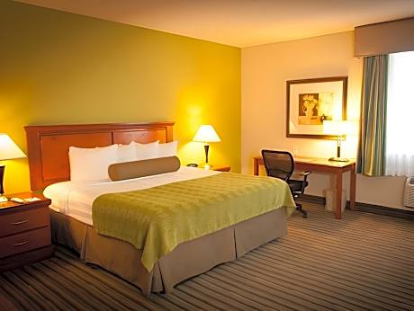 Mini Suite