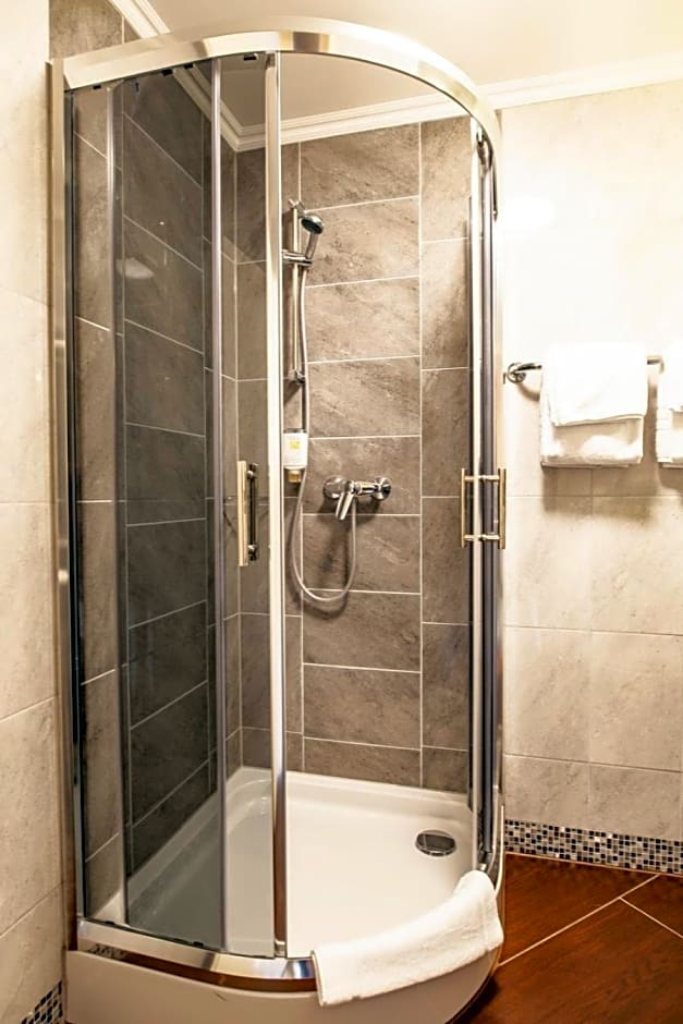 Hotel Silesia