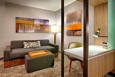 Suite, 1 King Bed with Sofa bed (Mobility/Hearing Access, Roll-In Shwr)