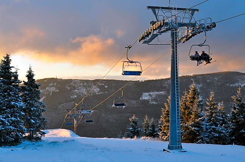 Wellness Hotel Vista