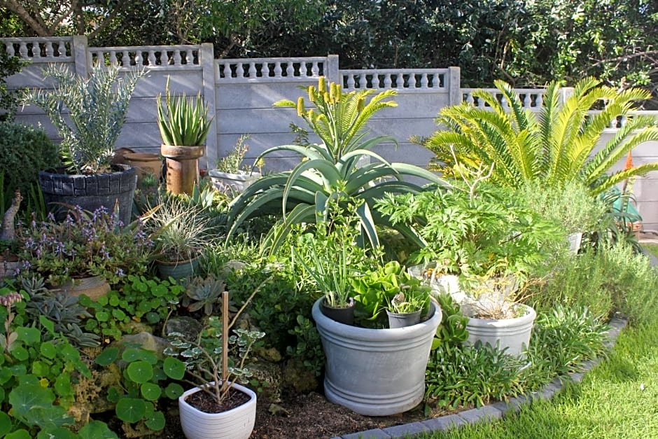 The Sun Catcher Bed & Breakfast