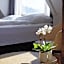 BERG & BERG APARTMENTS - Spiez Self-Check-in