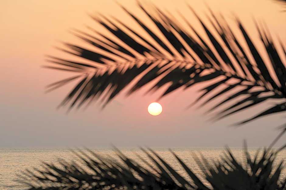 Mare Paphos