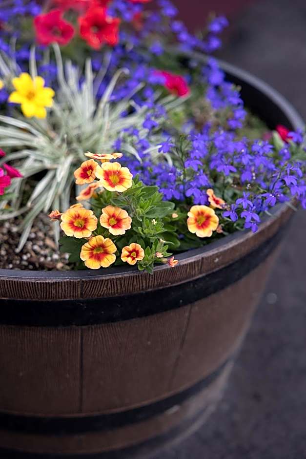 Clear River Inn and Tavern