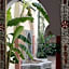 Riad petit Karmela