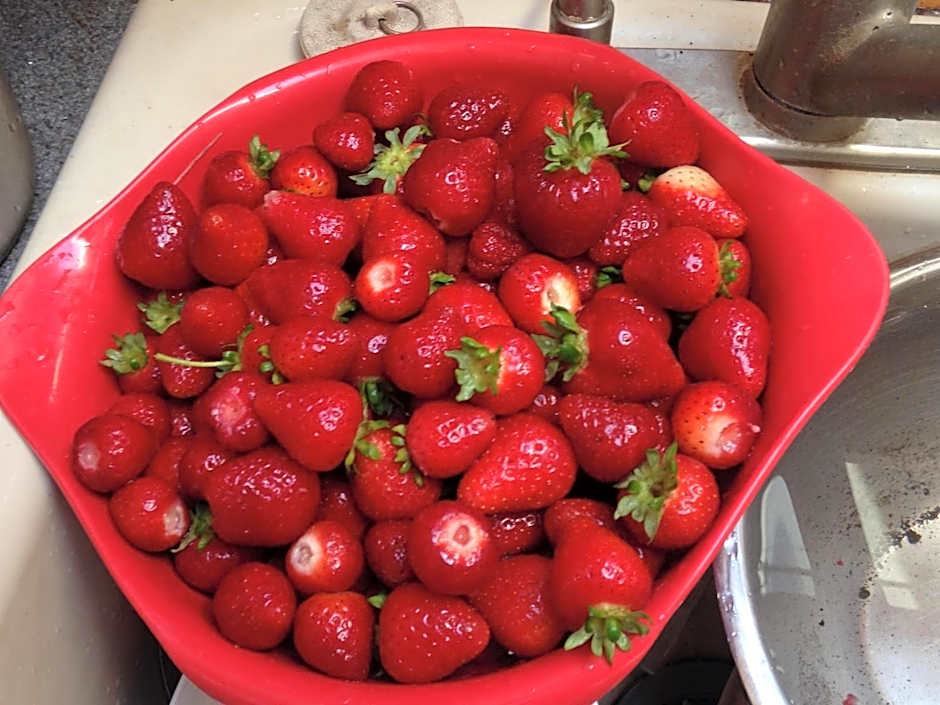 Nettles Farm