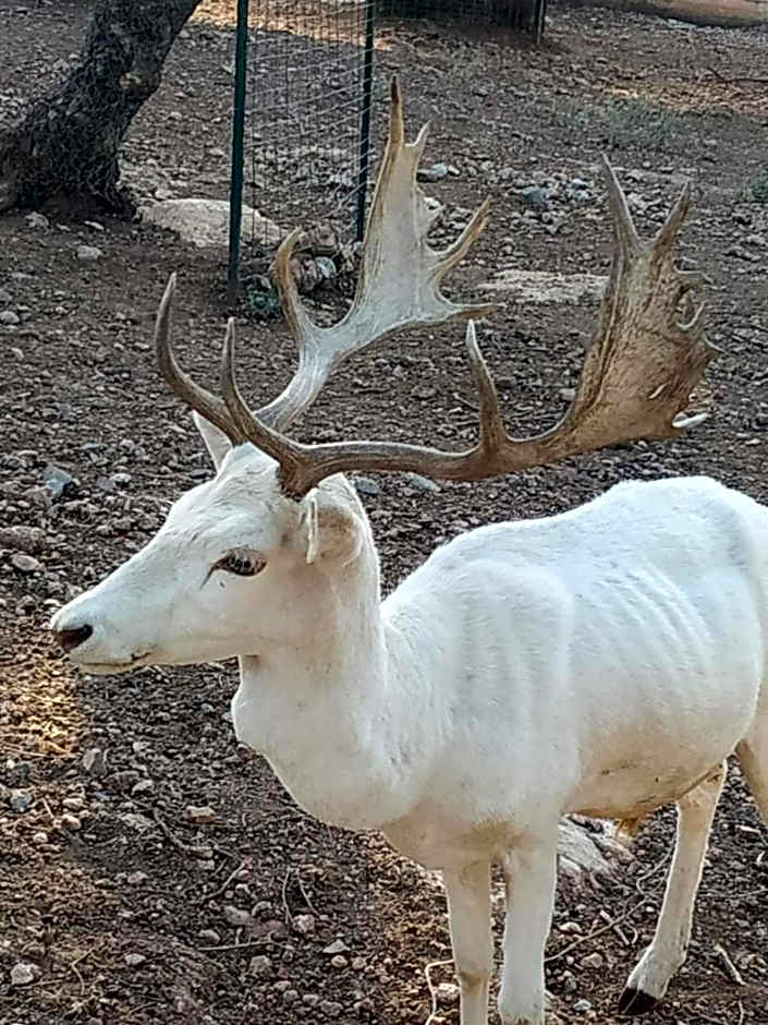 Anthidon Nature Estate & Farm