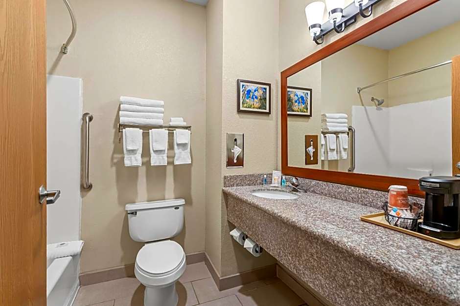 Comfort Inn & Suites Midtown