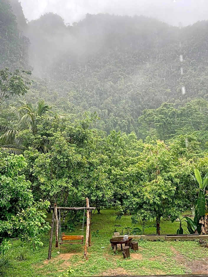 Khao Sok Green Mountain View
