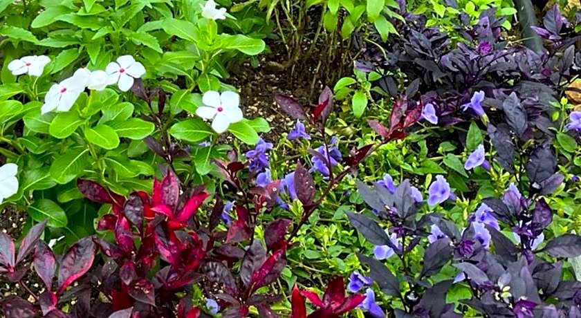 Toyoko Inn Takasaki eki Nishi guchi No 2