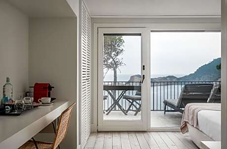 Double Room with Terrace