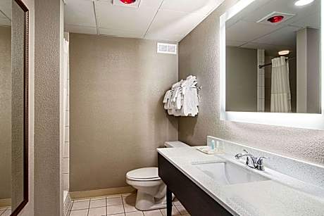 1 King Bed Suite Nonsmoking Upgrade