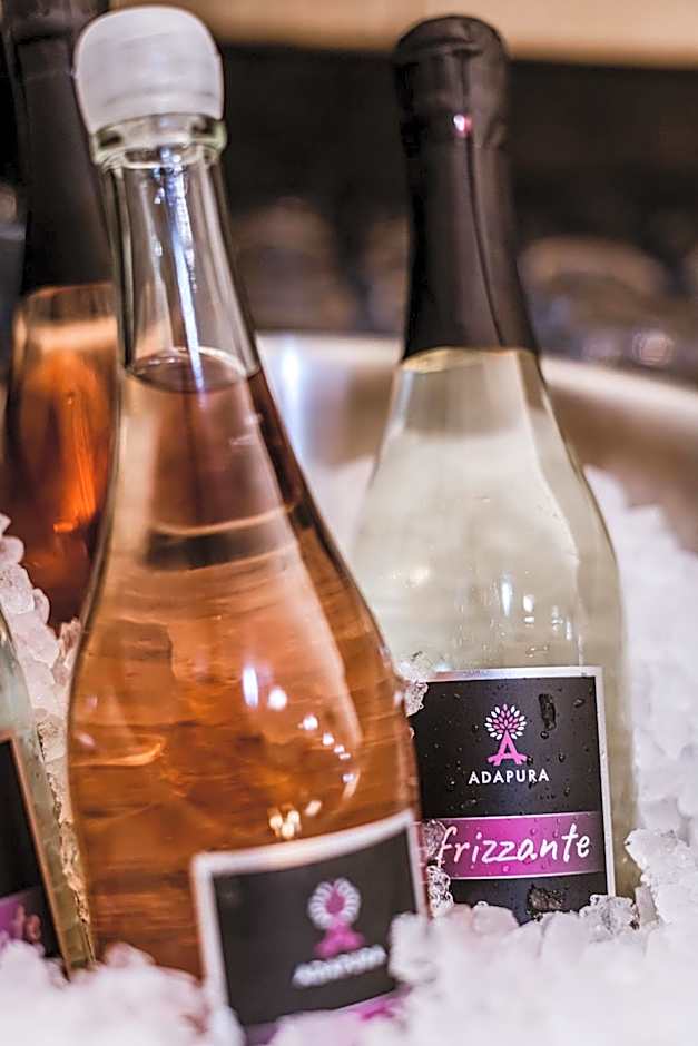 Hotel Adapura Wagrain